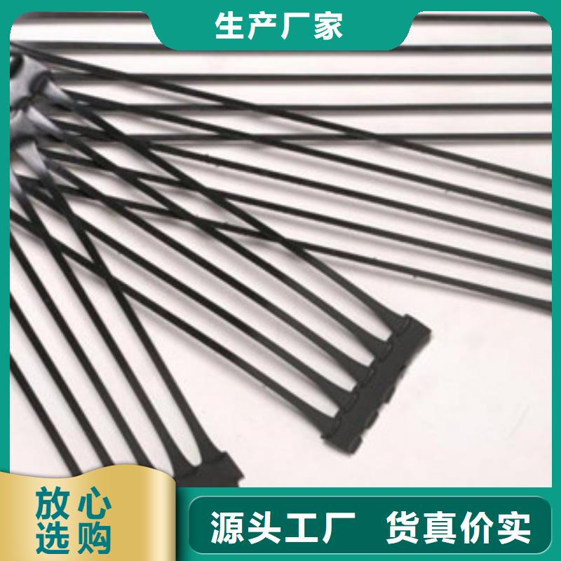 单向塑料格栅三维植被网厂家直销货源充足