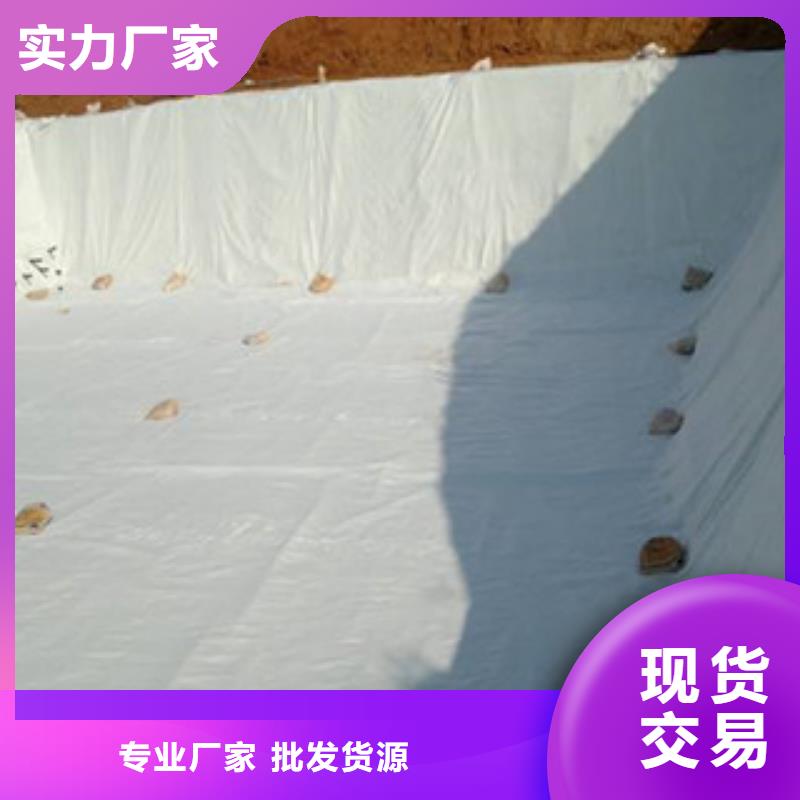 土工布高强度土工网工厂直供