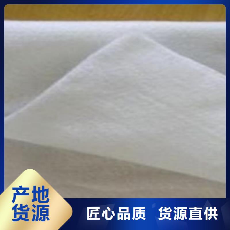 土工布玻纤土工格栅支持非标定制