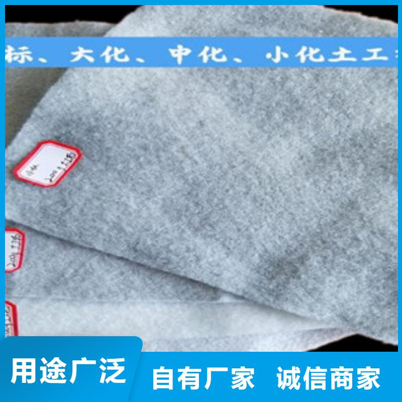 土工布钢塑土工格栅源头采购