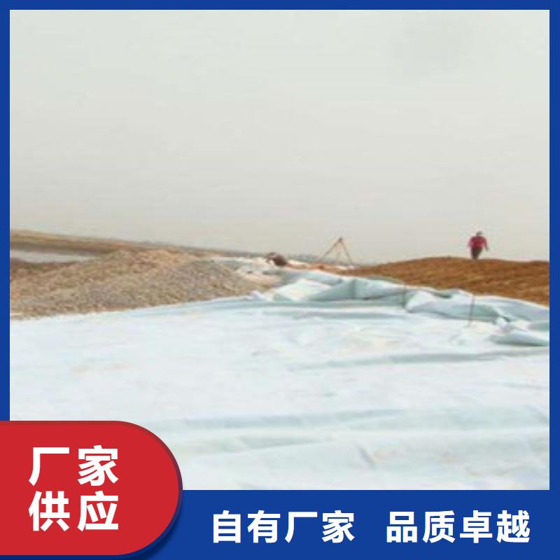 土工布钢塑土工格栅源头采购