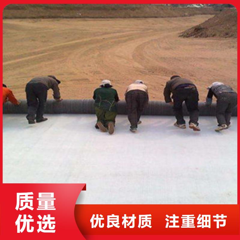膨润土防水毯钢塑土工格栅专业信赖厂家