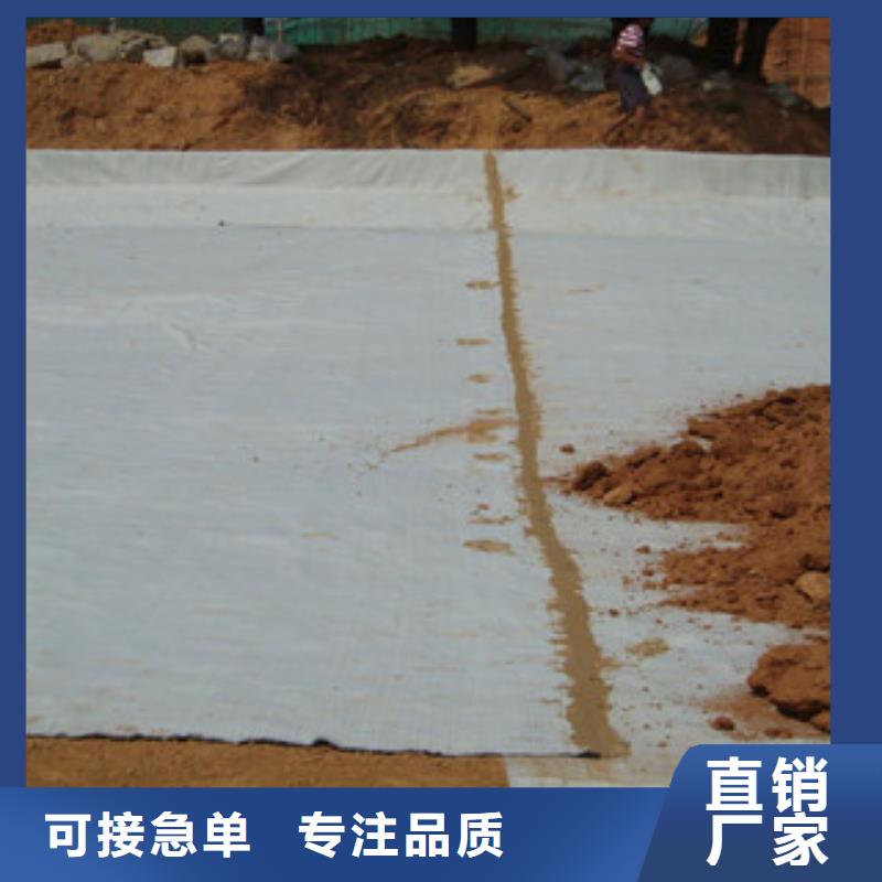 膨润土防水毯【塑料排水板】厂家自营