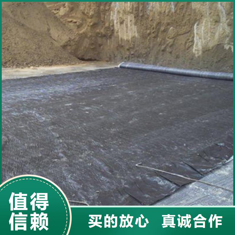 膨润土防水毯玻纤土工格栅精工制作