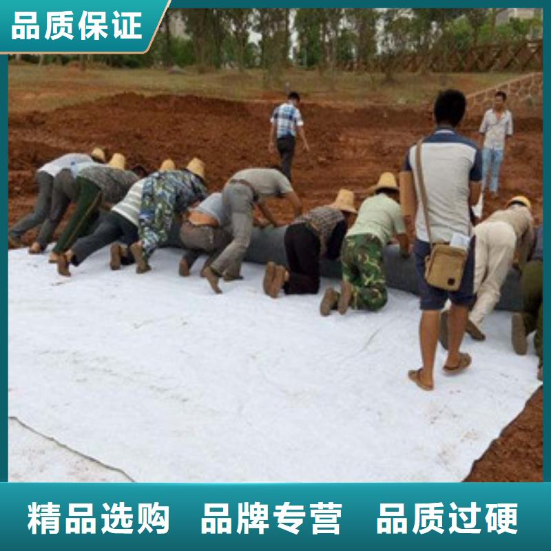 膨润土防水毯复合土工布匠心制造