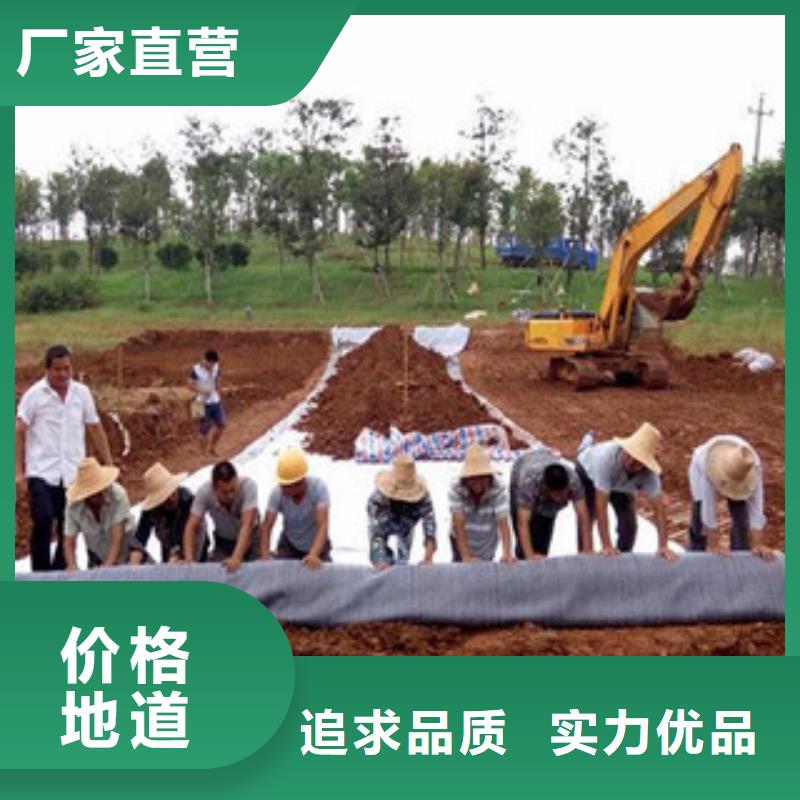 【膨润土防水毯,玻纤土工格栅质量优价格低】