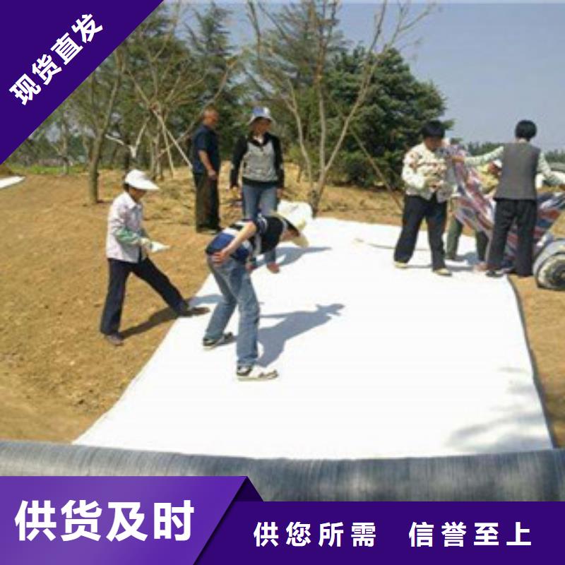 膨润土防水毯钢塑土工格栅专业信赖厂家