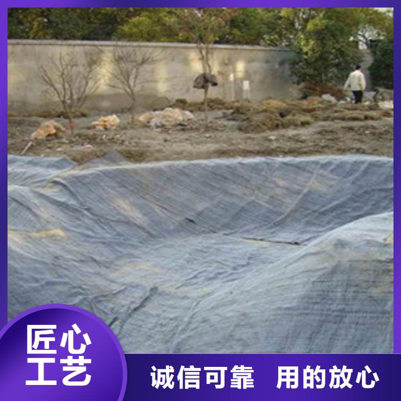 膨润土防水毯钢塑土工格栅专业信赖厂家