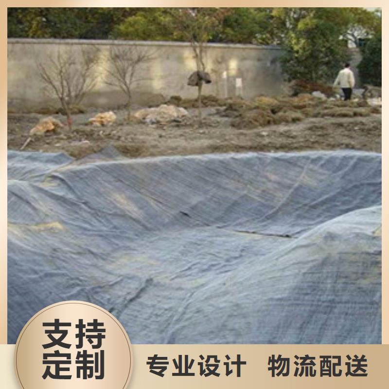 膨润土防水毯钢塑土工格栅海量现货直销