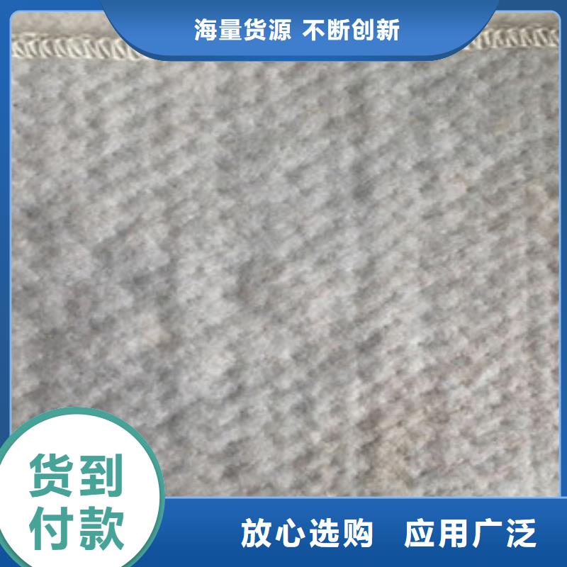 膨润土防水毯玻纤土工格栅精工制作