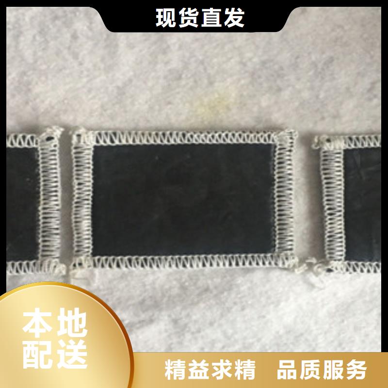 膨润土防水毯塑料排水板精心打造