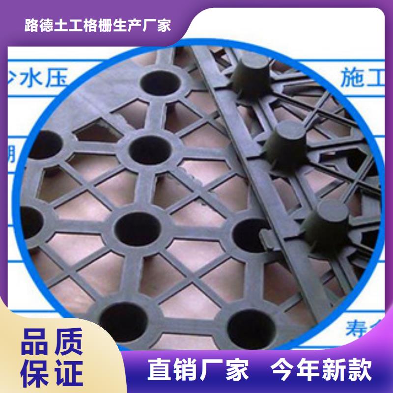塑料排水板,塑料土工格栅颜色尺寸款式定制
