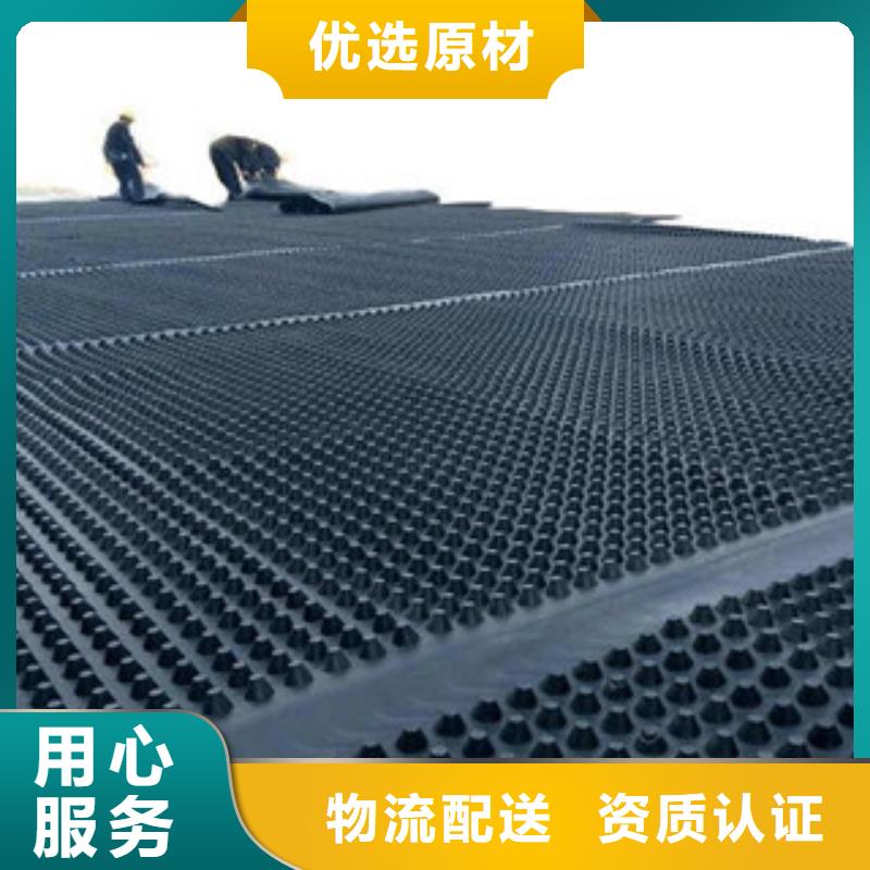 塑料排水板玻纤土工格栅现货交易