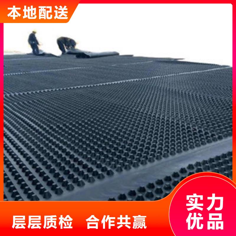 塑料排水板,塑料土工格栅颜色尺寸款式定制