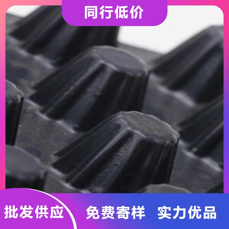 塑料排水板玻纤土工格栅批发货源