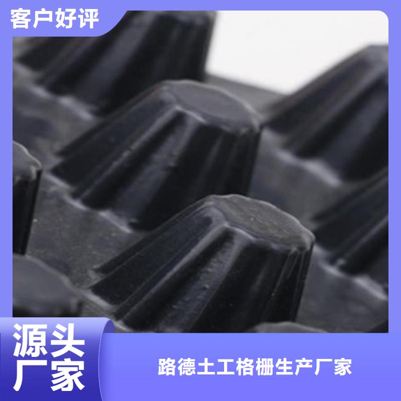 塑料排水板,塑料土工格栅颜色尺寸款式定制