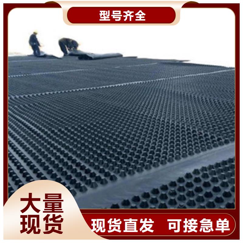 塑料排水板丰富的行业经验