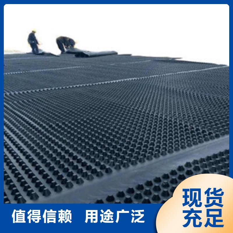 塑料排水板三维植被网真正的源头厂家