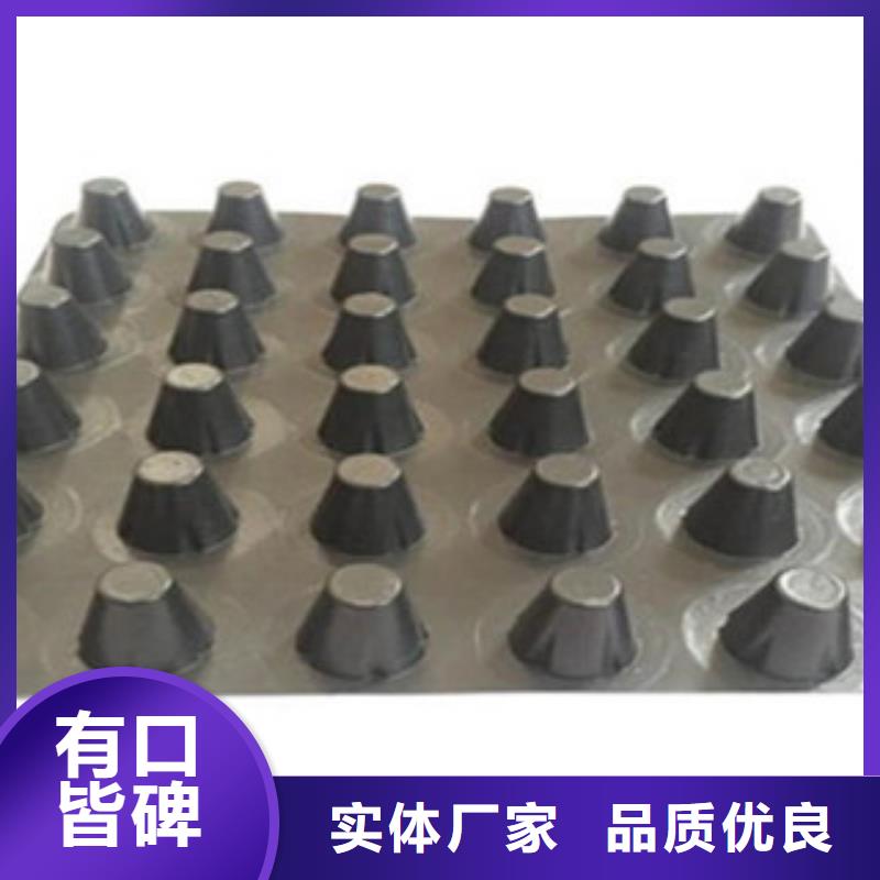 塑料排水板,塑料土工格栅颜色尺寸款式定制