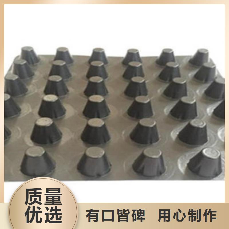 塑料排水板玻纤土工格栅批发货源