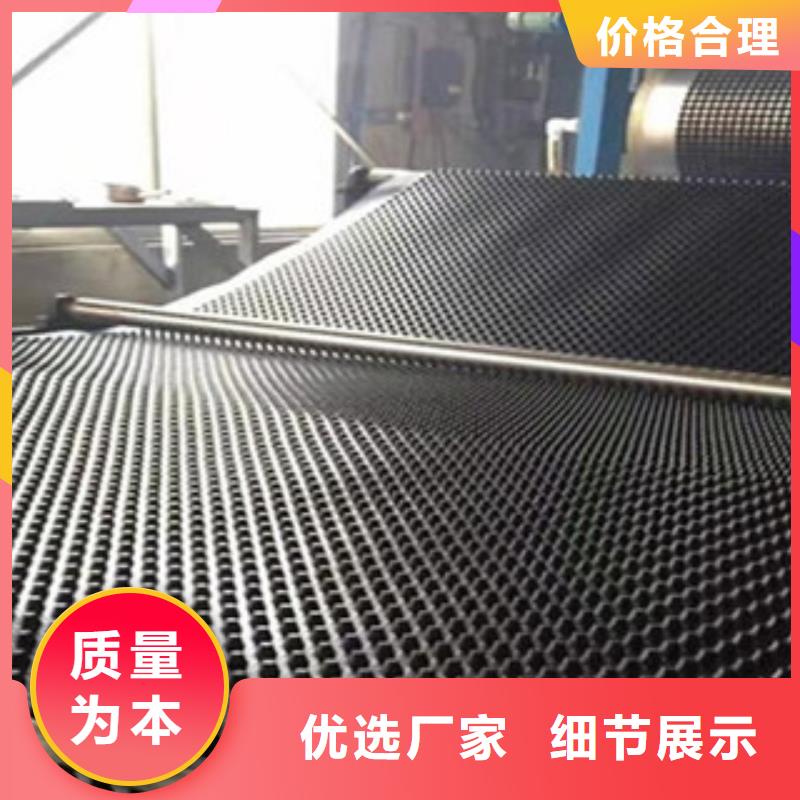 塑料排水板玻纤土工格栅现货交易