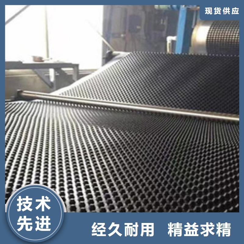 塑料排水板膨润土防水毯海量现货