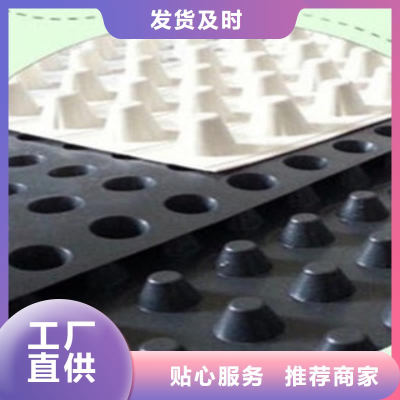 【塑料排水板】塑料土工格栅发货迅速