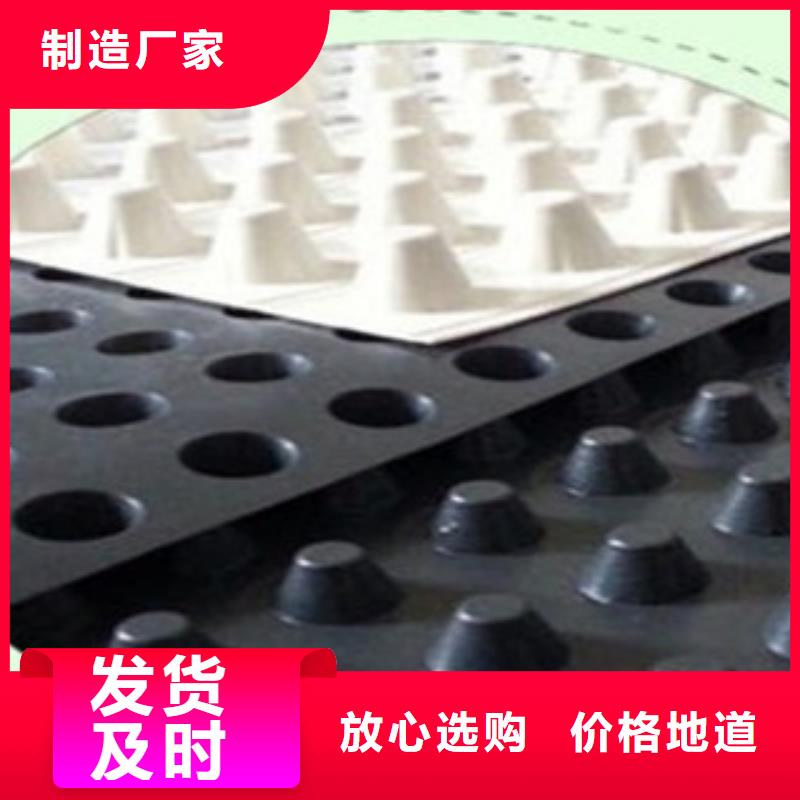 塑料排水板,塑料土工格栅颜色尺寸款式定制