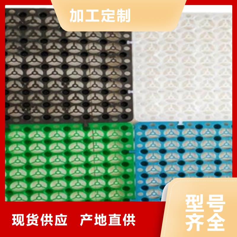 塑料排水板三维植被网真正的源头厂家
