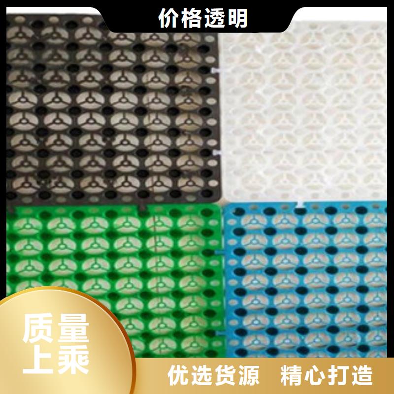 塑料排水板高强度土工网满足客户需求