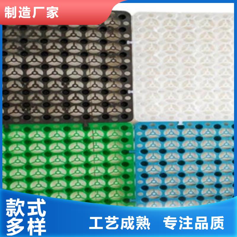 塑料排水板支持大批量采购