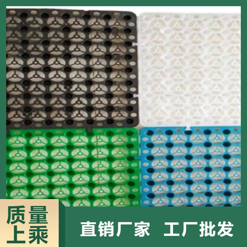 塑料排水板膨润土防水毯真实拍摄品质可靠
