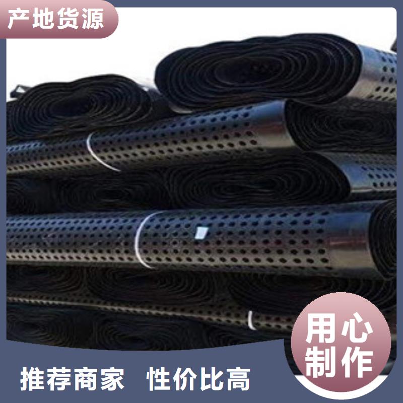 塑料排水板玻纤土工格栅现货交易