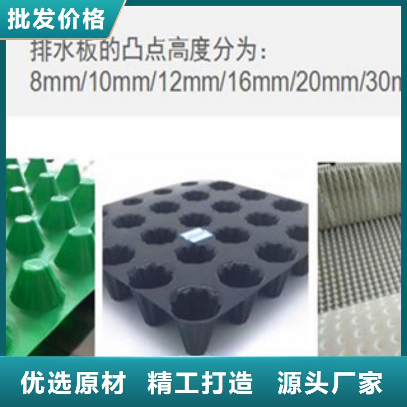 塑料排水板三维植被网真正的源头厂家