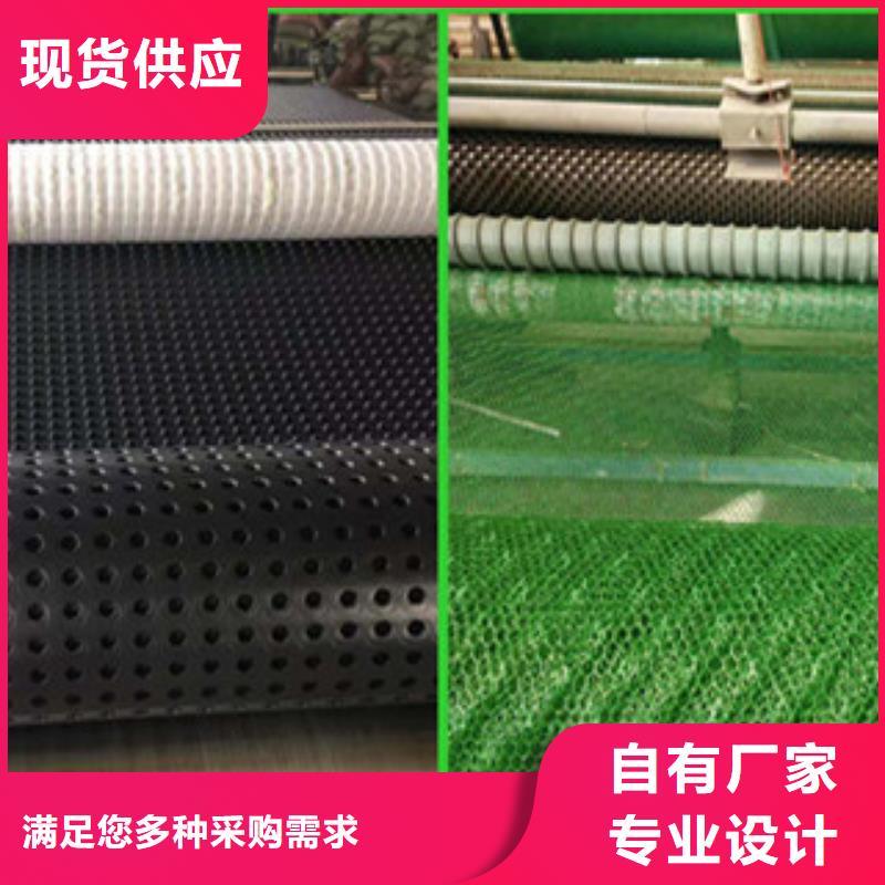 塑料排水板三维植被网源厂定制