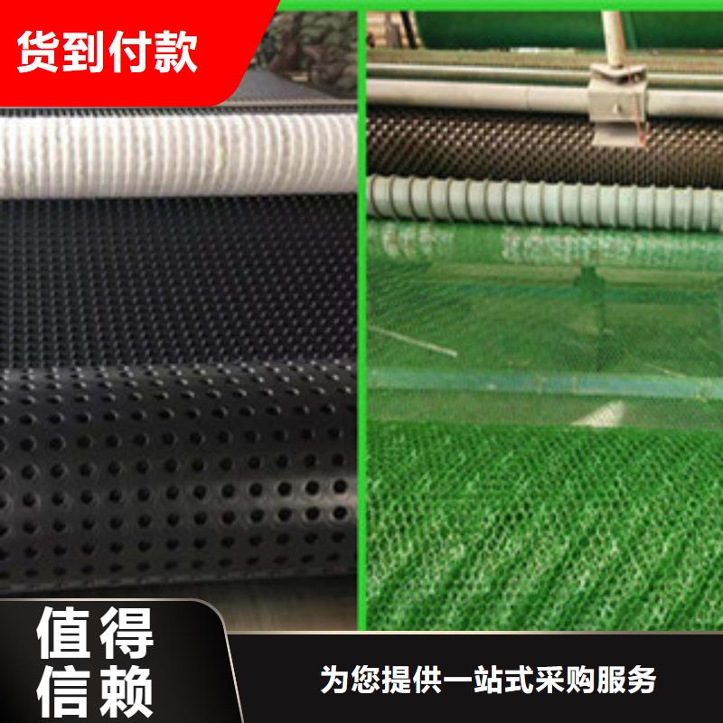 塑料排水板钢塑土工格栅产品性能