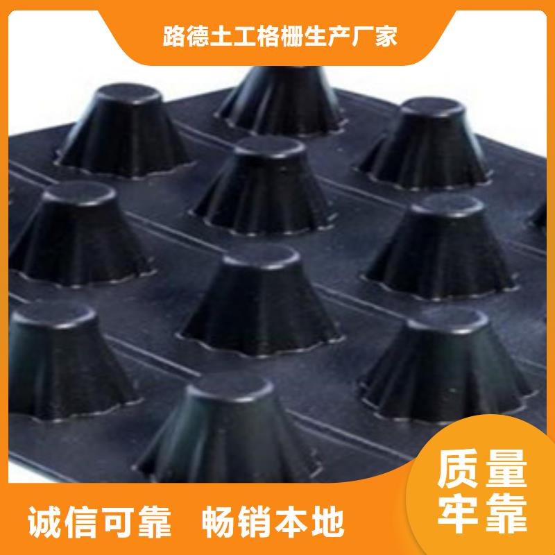 塑料排水板玻纤土工格栅保质保量