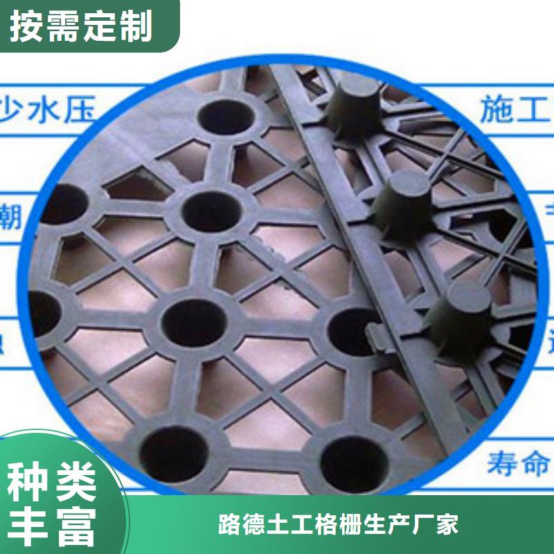 塑料排水板三维植被网真正的源头厂家