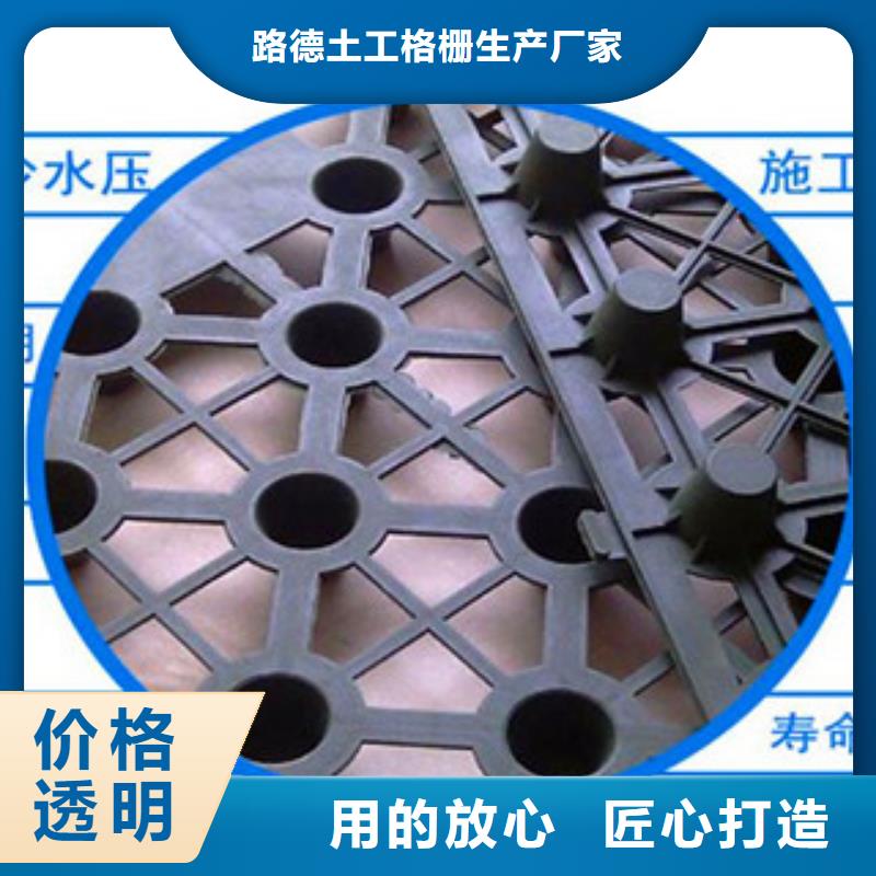 塑料排水板玻纤土工格栅保质保量