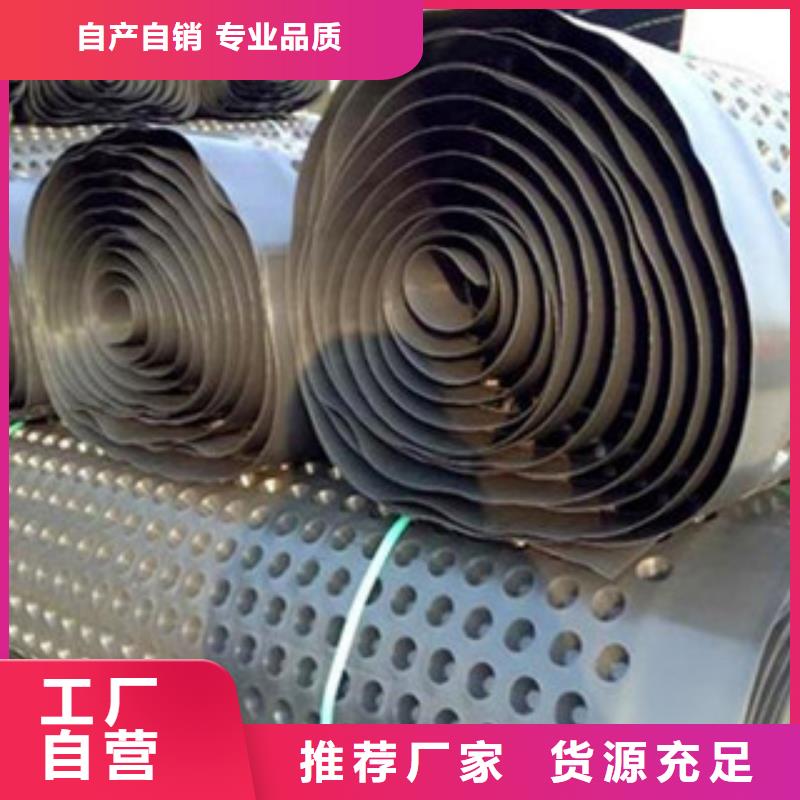 塑料排水板,塑料土工格栅颜色尺寸款式定制