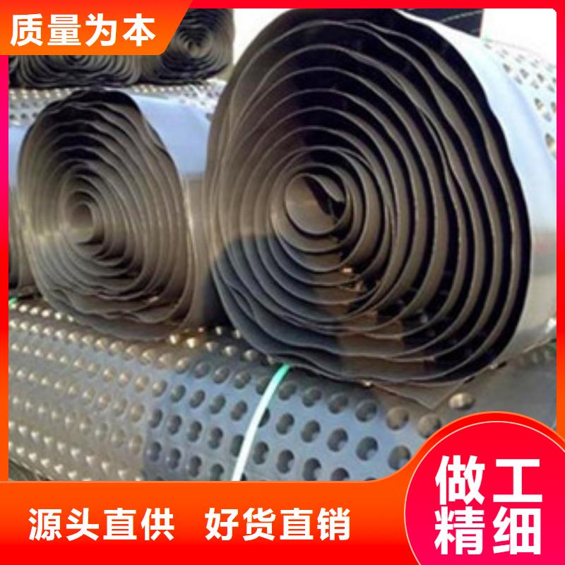 塑料排水板玻纤土工格栅现货交易