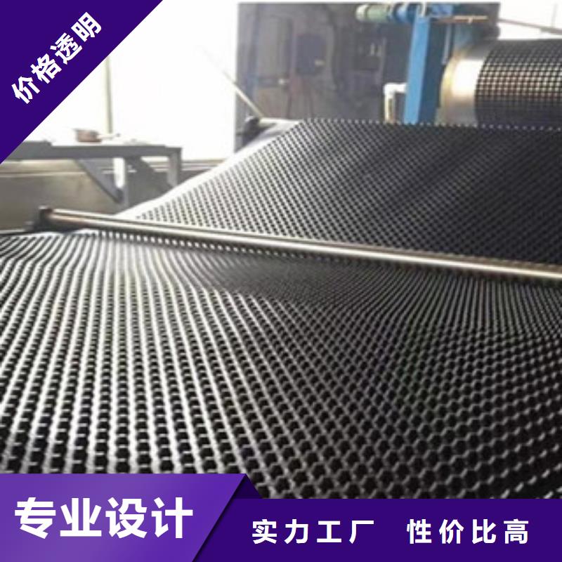 塑料排水板钢塑土工格栅产品性能