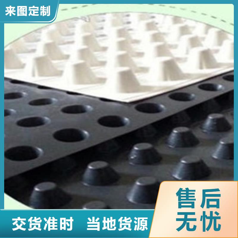 塑料排水板三维植被网真正的源头厂家