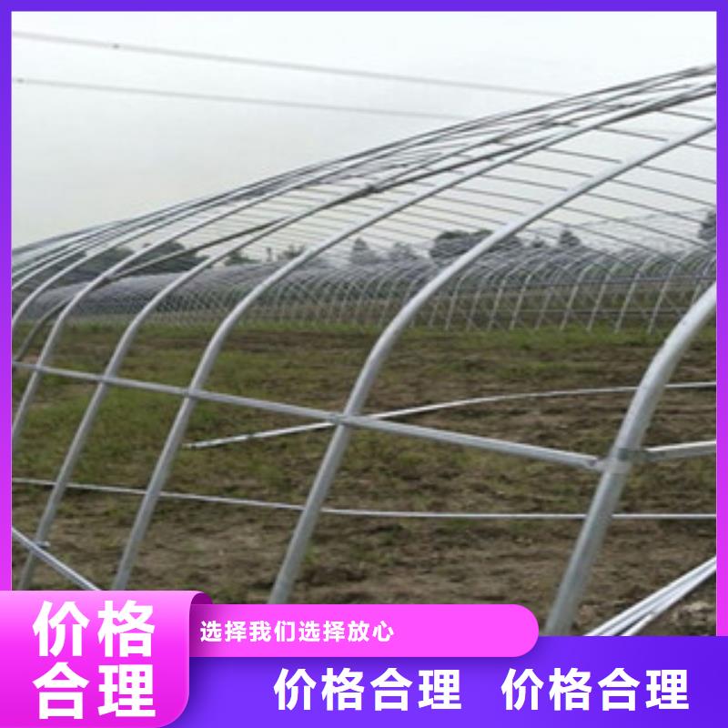 【大棚管工厂直销】