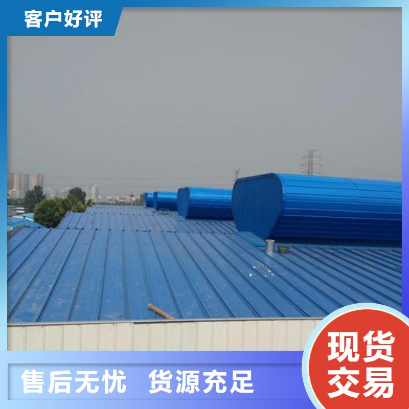 东丽屋顶天窗	形式