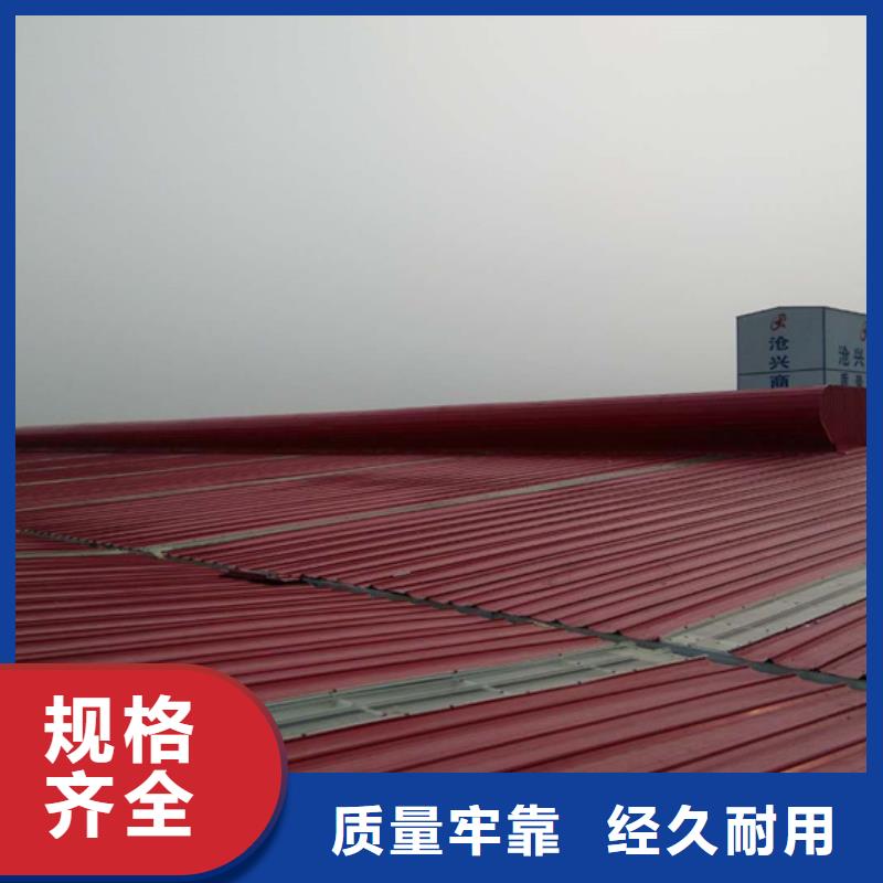 东丽屋顶天窗	形式