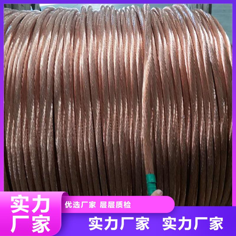 TJ-185平方镀锡铜绞线上门服务【厂家】