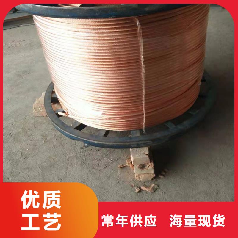 TJ-400mm2铜绞线/镀锡铜绞线/一米多少钱