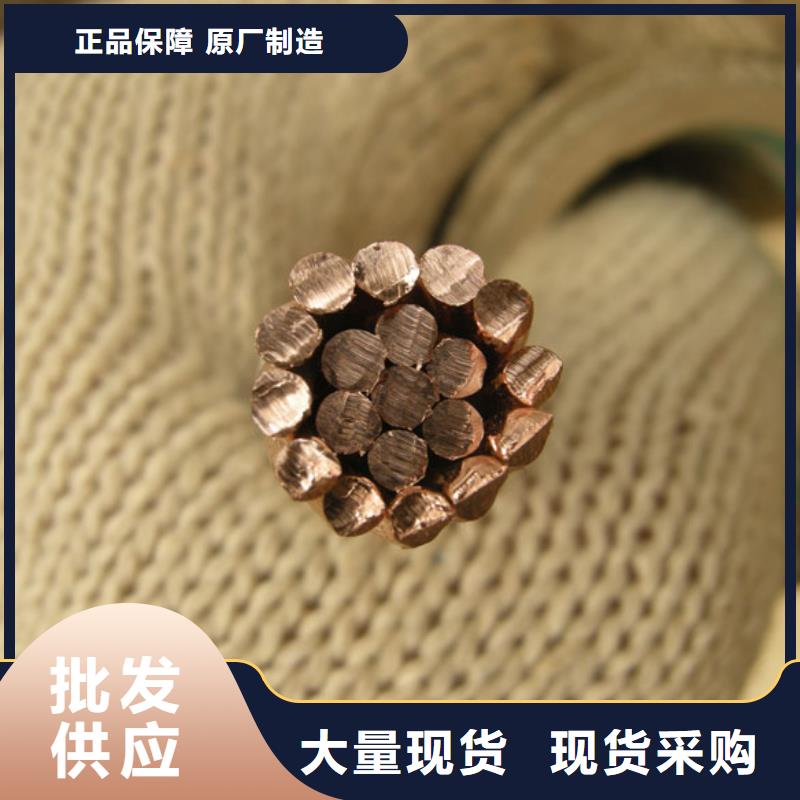 95镀锡铜绞线%变电站接地专用