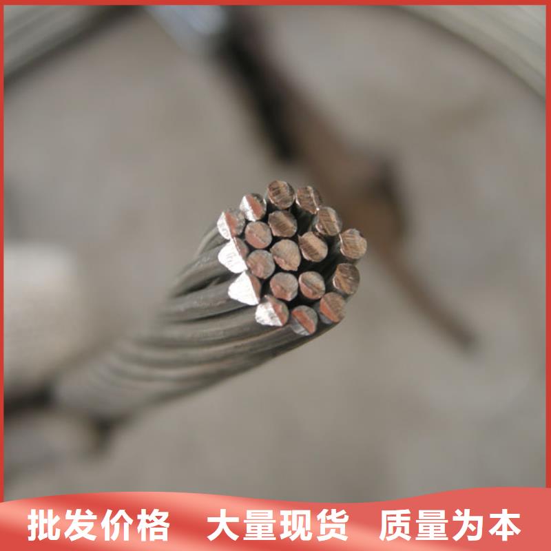 【TJ-300mm2铜绞线】厂家直销质优价廉